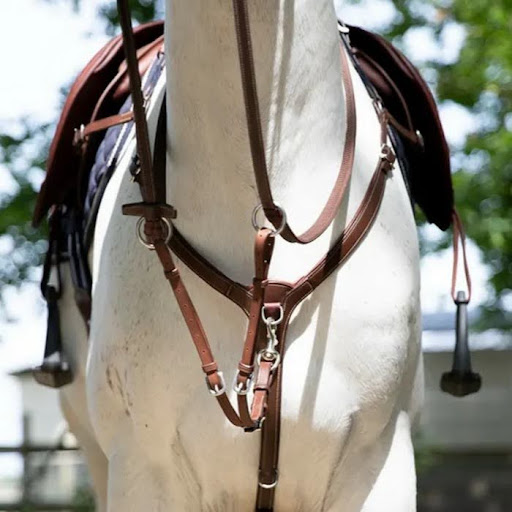 horse accessories